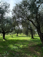 /album/galleria-foto-guarrelle/whatsapp-image-2025-10-12-at-15-29-53-jpeg/